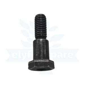 NUT [NB25 8MM STAND SENSOR BOLT] (+GST 28%) (28d2)