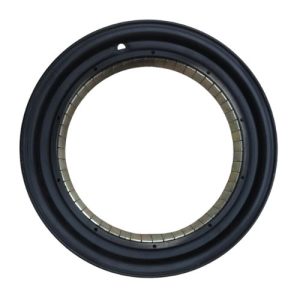 RIM with MAGNET 10 INCH (+GST 28%) (2838)