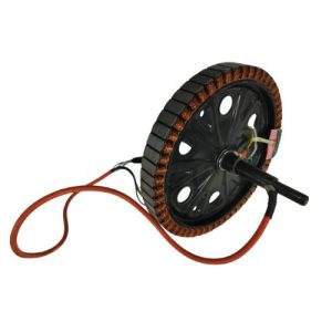 ROTOR 10 INCH (+GST 18%) (2828)