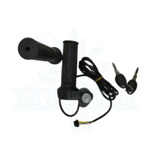 THROTTLE [ECYL with ONLY KEY] (+GST 28%) (1d21)